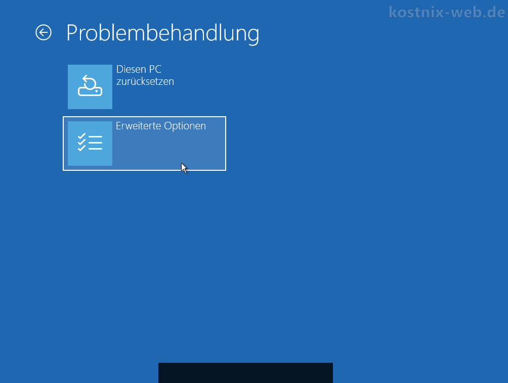Neustart - Option Problembehandlung - Erweiterte Optionen