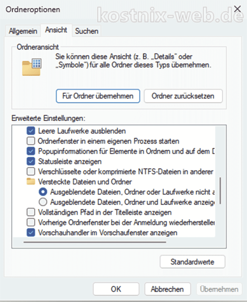 Windows 11, Ordneroptionen, versteckte Elemente einblenden