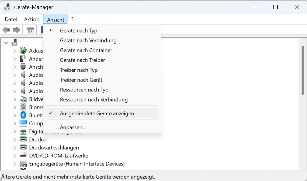 Gerätemanager - ausgeblendete Geräte anzeigen